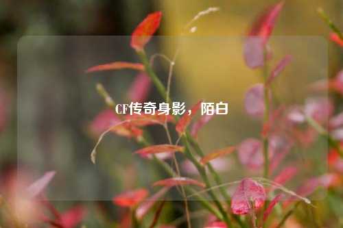 CF传奇身影,陌白