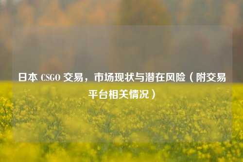 日本 CSGO 交易，市场现状与潜在风险（附交易平台相关情况）