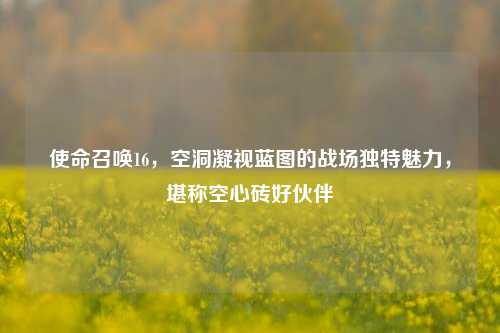 使命召唤16,空洞凝视蓝图的战场独特魅力,堪称空心砖好伙伴