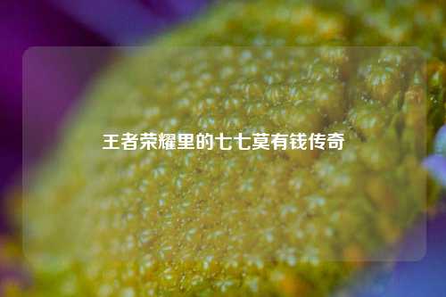 王者荣耀里的七七莫有钱传奇