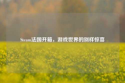 Steam法国开箱，游戏世界的别样惊喜