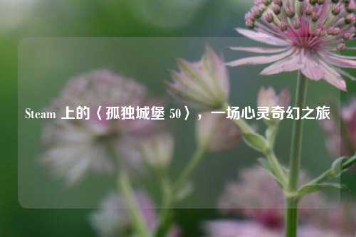 Steam 上的〈孤独城堡 50〉,一场心灵奇幻之旅
