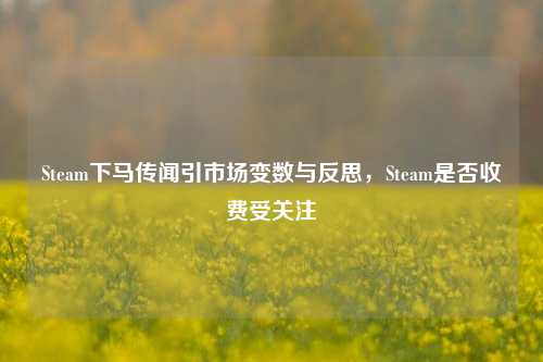 Steam下马传闻引市场变数与反思,Steam是否收费受关注