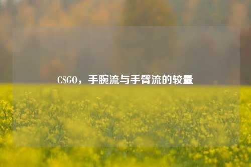 CSGO，手腕流与手臂流的较量