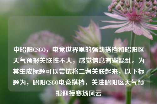 中昭阳CSGO，电竞世界里的强劲搭档和昭阳区天气预报关联性不大，感觉信息有些混乱。为其生成标题可以尝试将二者关联起来，以下标题为，昭阳CSGO电竞搭档，关注昭阳区天气预报迎接赛场风云