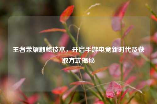 王者荣耀麒麟技术，开启手游电竞新时代及获取方式揭秘