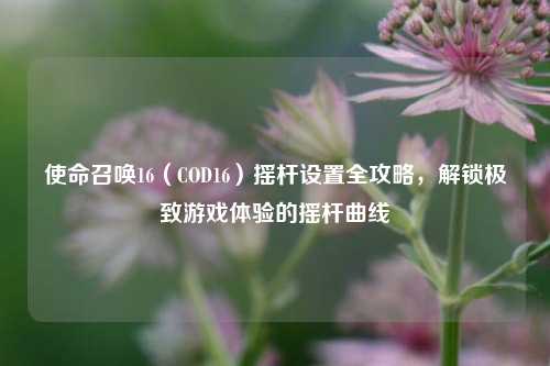 使命召唤16(COD16)摇杆设置全攻略,解锁极致游戏体验的摇杆曲线