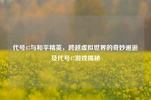 代号47与和平精英，跨越虚拟世界的奇妙邂逅及代号47游戏揭秘