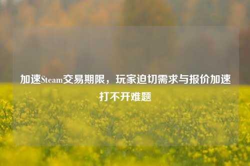 加速Steam交易期限，玩家迫切需求与报价加速打不开难题