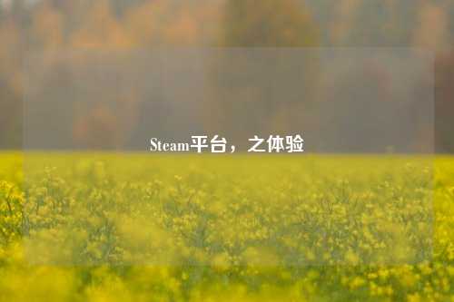 Steam平台,之体验