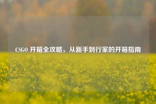 CSGO 开箱全攻略，从新手到行家的开箱指南