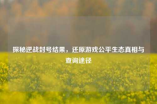 探秘逆战封号结果,还原游戏公平生态真相与查询途径