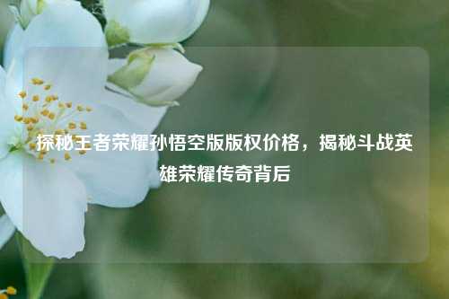 探秘王者荣耀孙悟空版版权价格,揭秘斗战英雄荣耀传奇背后