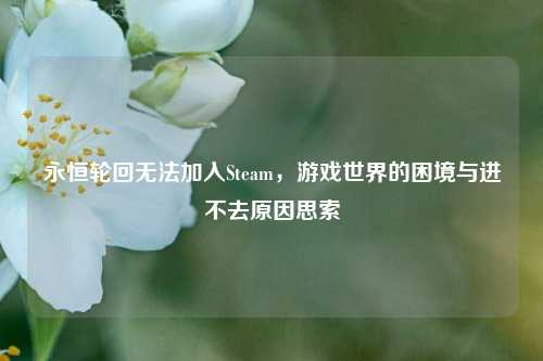 永恒轮回无法加入Steam,游戏世界的困境与进不去原因思索