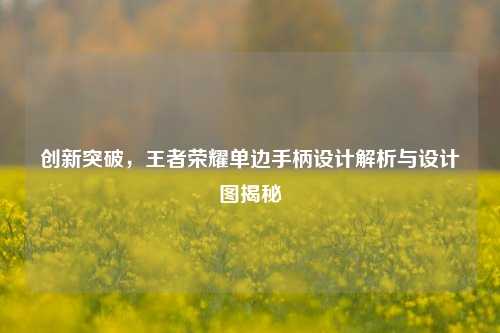 创新突破，王者荣耀单边手柄设计解析与设计图揭秘