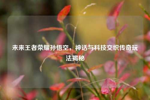 未来王者荣耀孙悟空,神话与科技交织传奇玩法揭秘