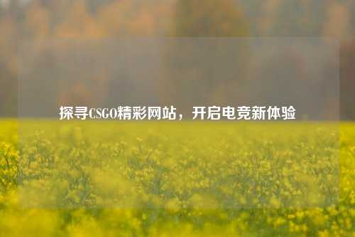 探寻CSGO精彩网站，开启电竞新体验