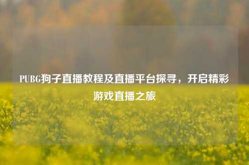 PUBG狗子直播教程及直播平台探寻，开启精彩游戏直播之旅