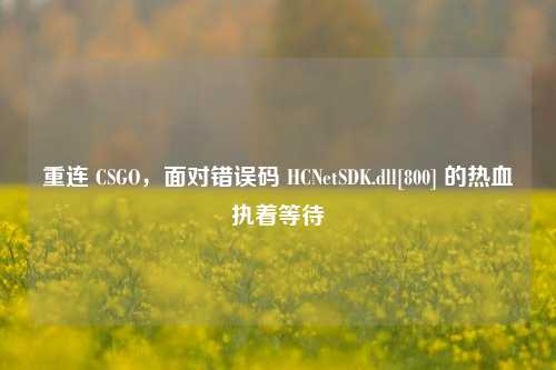 重连 CSGO，面对错误码 HCNetSDK.dll[800] 的热血执着等待