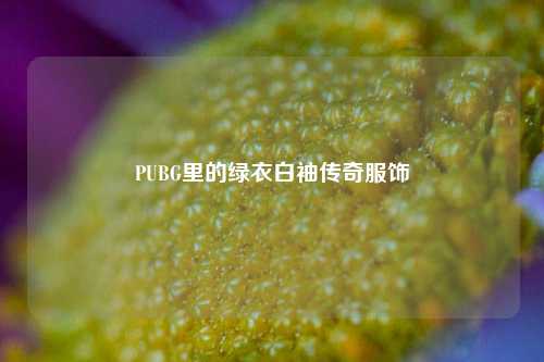 PUBG里的绿衣白袖传奇服饰