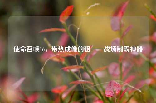 使命召唤16,带热成像的狙——战场制霸神器