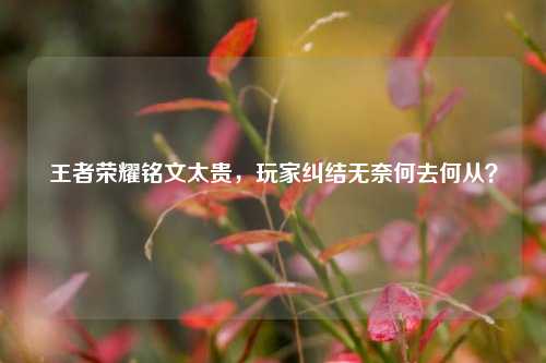 王者荣耀铭文太贵，玩家纠结无奈何去何从？