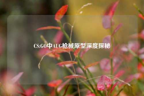 CS:GO中AUG枪械原型深度探秘