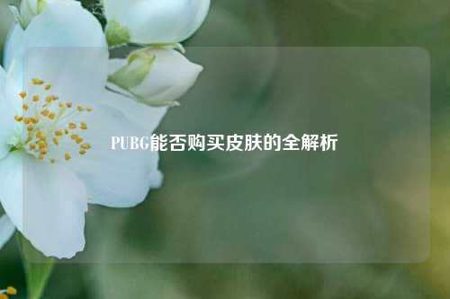 PUBG能否购买皮肤的全解析