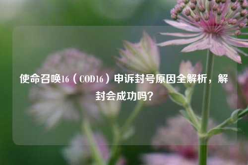 使命召唤16(COD16)申诉封号原因全解析,解封会成功吗?