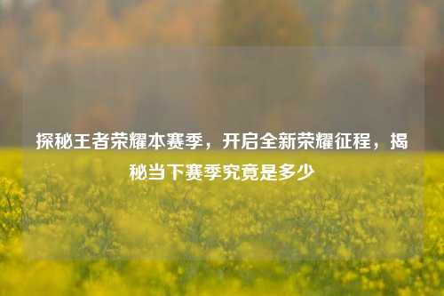 探秘王者荣耀本赛季,开启全新荣耀征程,揭秘当下赛季究竟是多少