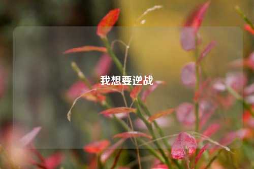 我想要逆战