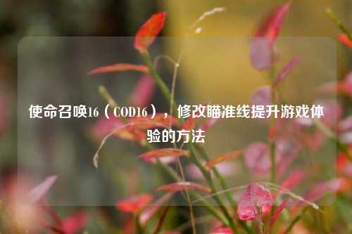 使命召唤16(COD16),修改瞄准线提升游戏体验的方法