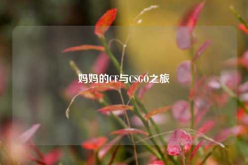 妈妈的CF与CSGO之旅