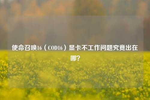 使命召唤16（COD16）显卡不工作问题究竟出在哪？