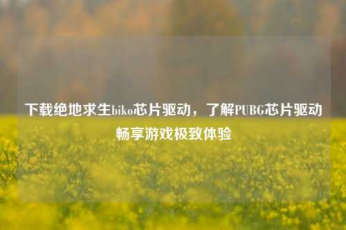 下载绝地求生biko芯片驱动，了解PUBG芯片驱动畅享游戏极致体验