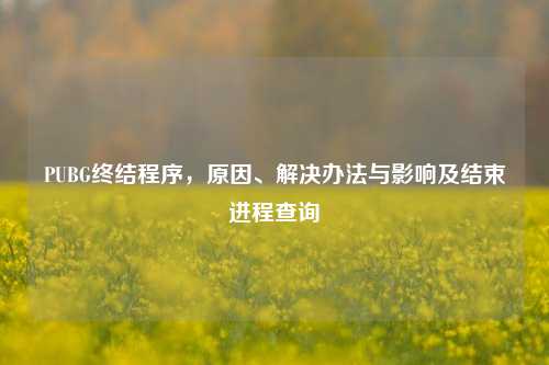 PUBG终结程序，原因、解决办法与影响及结束进程查询