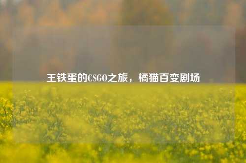 王铁蛋的CSGO之旅,橘猫百变剧场