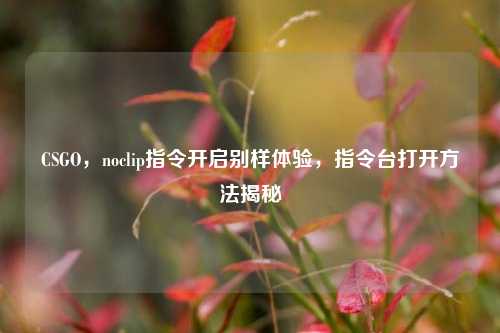 CSGO,noclip指令开启别样体验,指令台打开方法揭秘