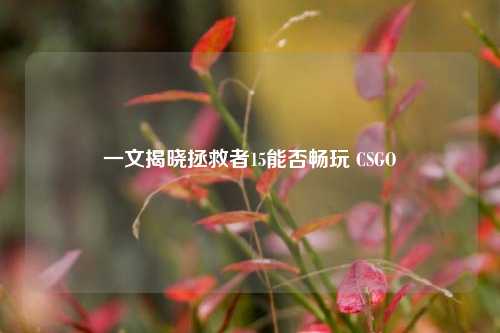 一文揭晓拯救者15能否畅玩 CSGO