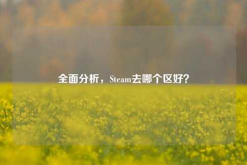 全面分析,Steam去哪个区好?