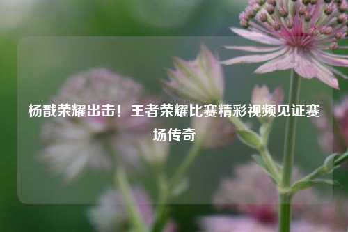 杨戬荣耀出击！王者荣耀比赛精彩视频见证赛场传奇