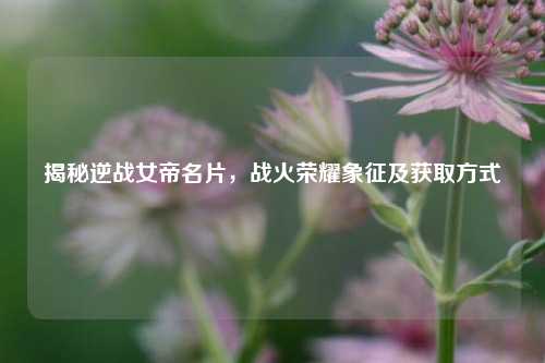揭秘逆战女帝名片，战火荣耀象征及获取方式