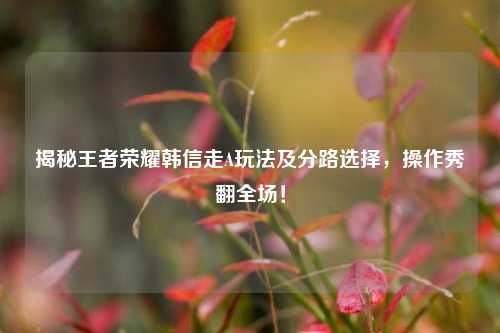 揭秘王者荣耀韩信走A玩法及分路选择，操作秀翻全场！