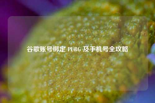 谷歌账号绑定 PUBG 及手机号全攻略