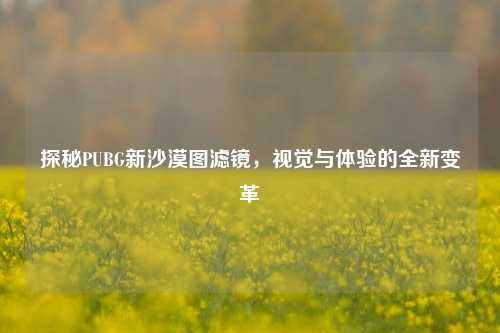 探秘PUBG新沙漠图滤镜,视觉与体验的全新变革