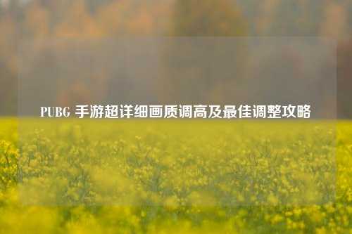 PUBG 手游超详细画质调高及最佳调整攻略