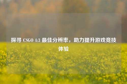 探寻 CSGO 4:3 最佳分辨率,助力提升游戏竞技体验