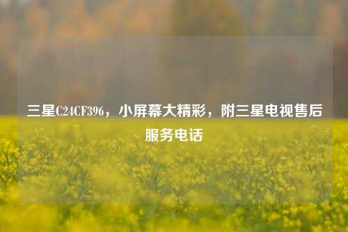 三星C24CF396,小屏幕大精彩,附三星电视售后服务电话