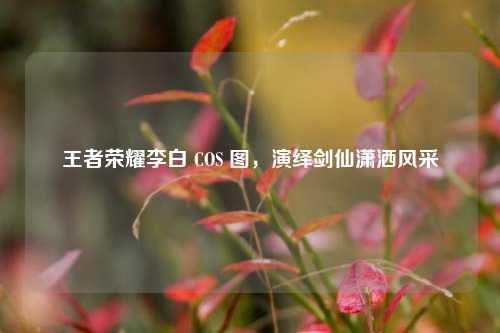 王者荣耀李白 COS 图,演绎剑仙潇洒风采