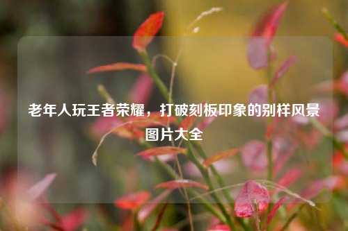 老年人玩王者荣耀，打破刻板印象的别样风景图片大全